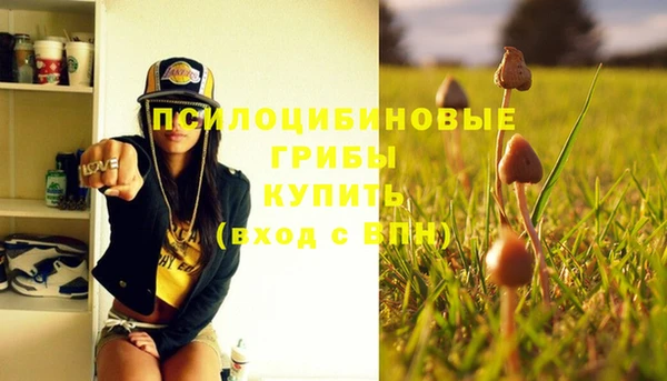 скорость Липки