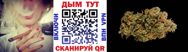 Бошки Шишки планчик  Оленегорск 